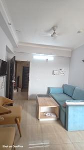Hall Image of 530 Sq.ft 1 BHK Apartment / Flat for rent in Gaurs 14th Avenue, Noida Extension Greater Noida for Rs. 22000