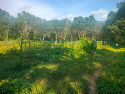 Image of 435600 Sq.ft Residential Plot / Land for sale in Kattilappoovam, Killannur, Thrissur for Rs. 60000000