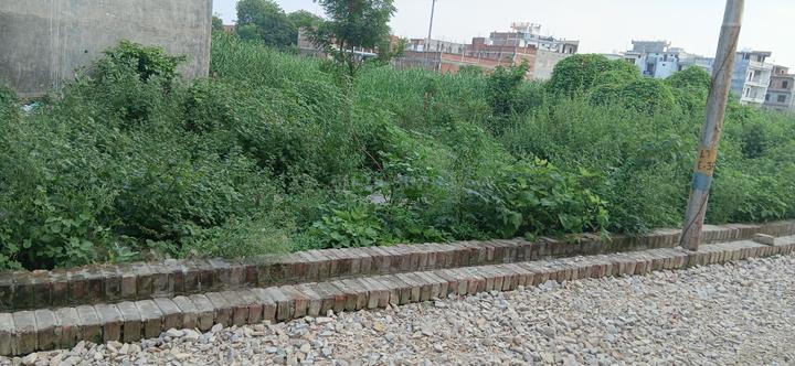 Dev nagar jhusi Main Image 1