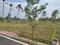 Spring Field Avenue Main Image 1