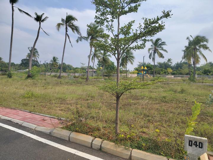 Spring Field Avenue Main Image 1