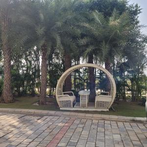 Image of 4500 Sq.ft Residential Plot / Land for sale in New Chandigarh, Chandigarh for Rs. 56500000