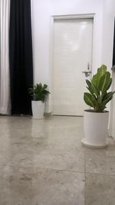 Hall Image of 1650 Sq.ft 3 BHK Apartment / Flat for rent in Doon Capital Paradise, Dehrakhas Dehradun for Rs. 52000