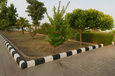 Chinhat Plot View 2