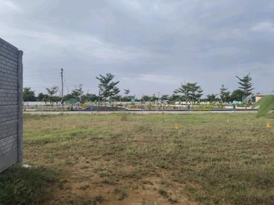 Residential Plot