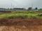 Rau Plot View 2