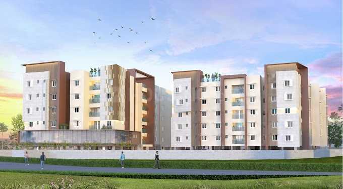 Isha Pokkisham Main Image 1