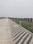 Balaji Shanti Platinum Plot View 2
