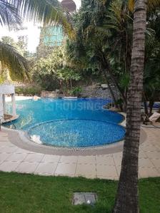 Image of 3270 Sq.ft 3.5 BHK Apartment / Flat for rent in Clover Palisades by Clover Realty &amp; Infrastructure Pvt. Ltd., Kondhwa, Pune for Rs. 130000