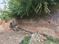 Bakshi Ka Talab Plot View 2