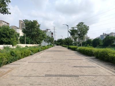 BPTP District Internal Roads 2