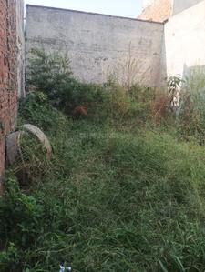 Image of 554 Sq.ft 1.5 BHK Independent House for sale in Kabir Nagar, Ludhiana for Rs. 1250000