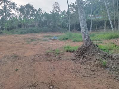 Image of 300 Sq.ft Residential Plot / Land for sale in Moolavattom, Kottayam for Rs. 2500000