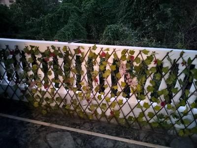 Balcony Image of 2150 Sq.ft 3 BHK Apartment / Flat for rent in Naval Technical Officers Apartment, Sector 22 Dwarka New Delhi for Rs. 55000