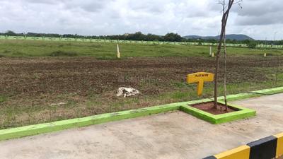 Residential Plot