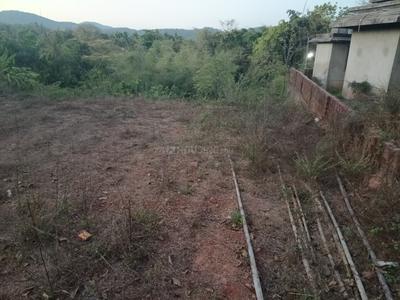 Residential Plot