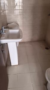 Image of 1000 Sq.ft 2 BHK Apartment / Flat for rent in ACE City, Noida Extension, Greater Noida for Rs. 19000