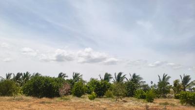 Image of 50097 Sq.ft Residential Plot / Land for sale in Tharuvai, Tirunelveli for Rs. 10000000