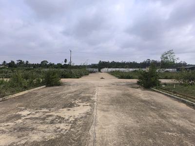 Image of 1100 Sq.ft Residential Plot / Land for sale in Hoskote, Bengaluru for Rs. 3135000