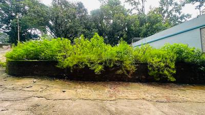 Image of 2680 Sq.ft Residential Plot / Land for sale in Malsi, Dehradun for Rs. 18000000