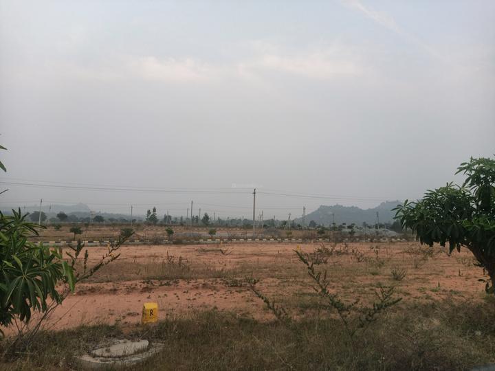 Fortune 18 3 LP Main Image 1