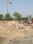 Kachnar Farm house Main Image 1