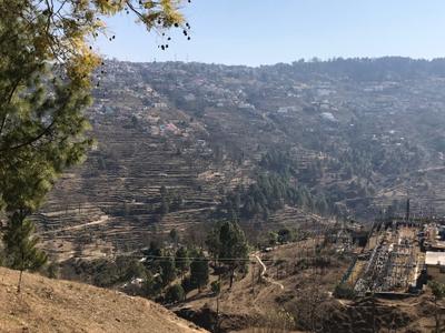 Image of 10800 Sq.ft Residential Plot / Land for sale in Pandeykhola, Almora for Rs. 1000000