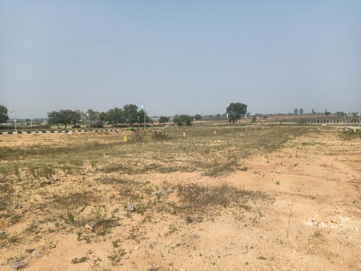 Mucherla Main Image 1