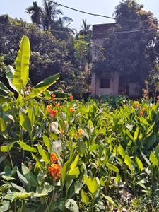 Image of 1440 Sq.ft Residential Plot / Land for sale in Birati, Kolkata for Rs. 3050000
