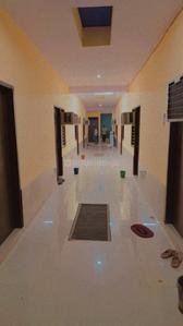 Hall Image of Krishna pg  in Sector 20, Gurgaon