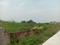 Konchowki Housing Society Main Image 1