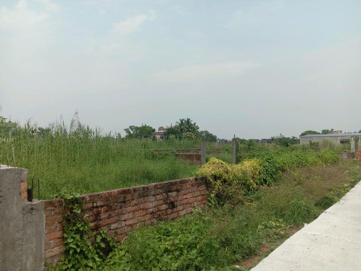 Konchowki Housing Society Main Image 1