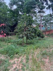 Image of 87120 Sq.ft Residential Plot / Land for sale in  Jayaram Layout, Ragihalli State Forest, Bengaluru for Rs. 25000000