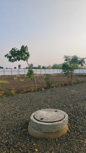 Image of 5000 Sq.ft 2 BHK Farm House for sale in Phanda Kala, Bhopal for Rs. 3800000