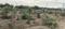 Jagatpura Plot View 2