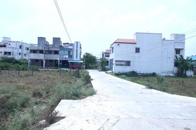 Plot View