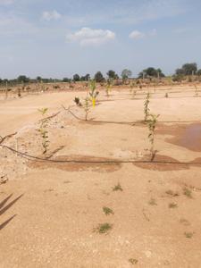 Image of 121 Sq.ft Residential Plot / Land for sale in Chinthapally, Nalgonda for Rs. 400000