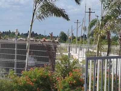 Image of 1200 Sq.ft Residential Plot / Land for sale in KK Nagar, Tiruchirappalli for Rs. 3000000