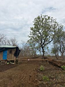 Image of 530 Sq.ft 1 RK Farm House for sale in Wanadongri, Nagpur for Rs. 1680000