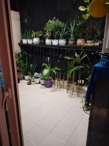 Balcony Image of 1040 Sq.ft 2 BHK Apartment / Flat for rent in Gaurs 14th Avenue, Noida Extension Greater Noida for Rs. 28000