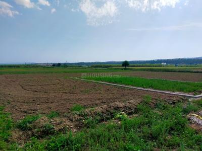 Anand vihar  Plot View 1