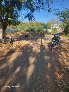 chittavan Plot View 2
