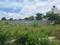 Aduru Main Image 1