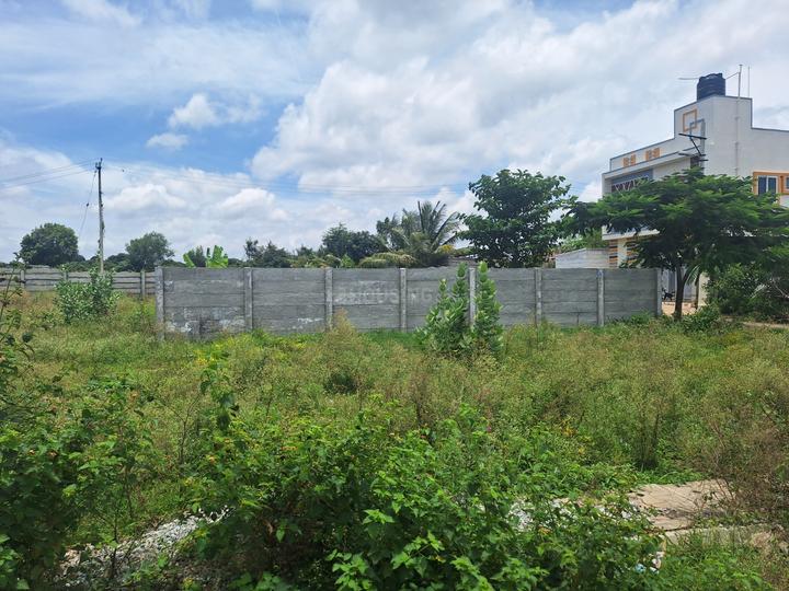Aduru Main Image 1