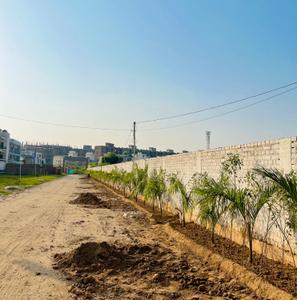 Image of 1350 Sq.ft Residential Plot / Land for sale in Saidpura, Dera Bassi for Rs. 6750000