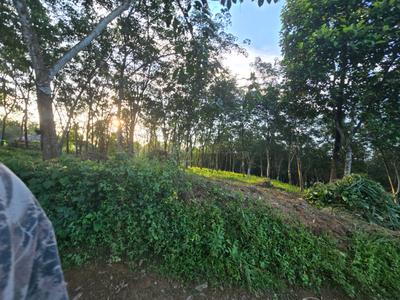 Image of 13068 Sq.ft Residential Plot / Land for sale in Puthenkurish, Kochi for Rs. 8700000