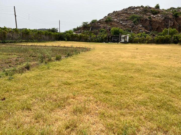 Jharsa Village Main Image 1