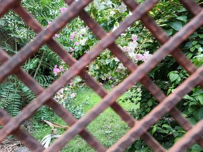 Image of 1250 Sq.ft Residential Plot / Land for sale in Civil Lines, Jhansi for Rs. 8500000