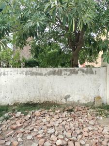 Sector 17 Plot View 1