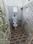 Akash villa Bathroom 1